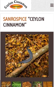 <br />
<b>Warning</b>:  Array to string conversion in <b>/var/www/html/test.revoise.com/public/portfolio-web-design.php</b> on line <b>161</b><br />
Array Mobile Phone Preview